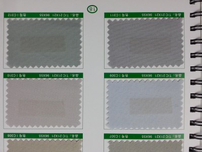 SD-DGYE   滌棉細珠帆  T/C  21*21   96*55 細節-6